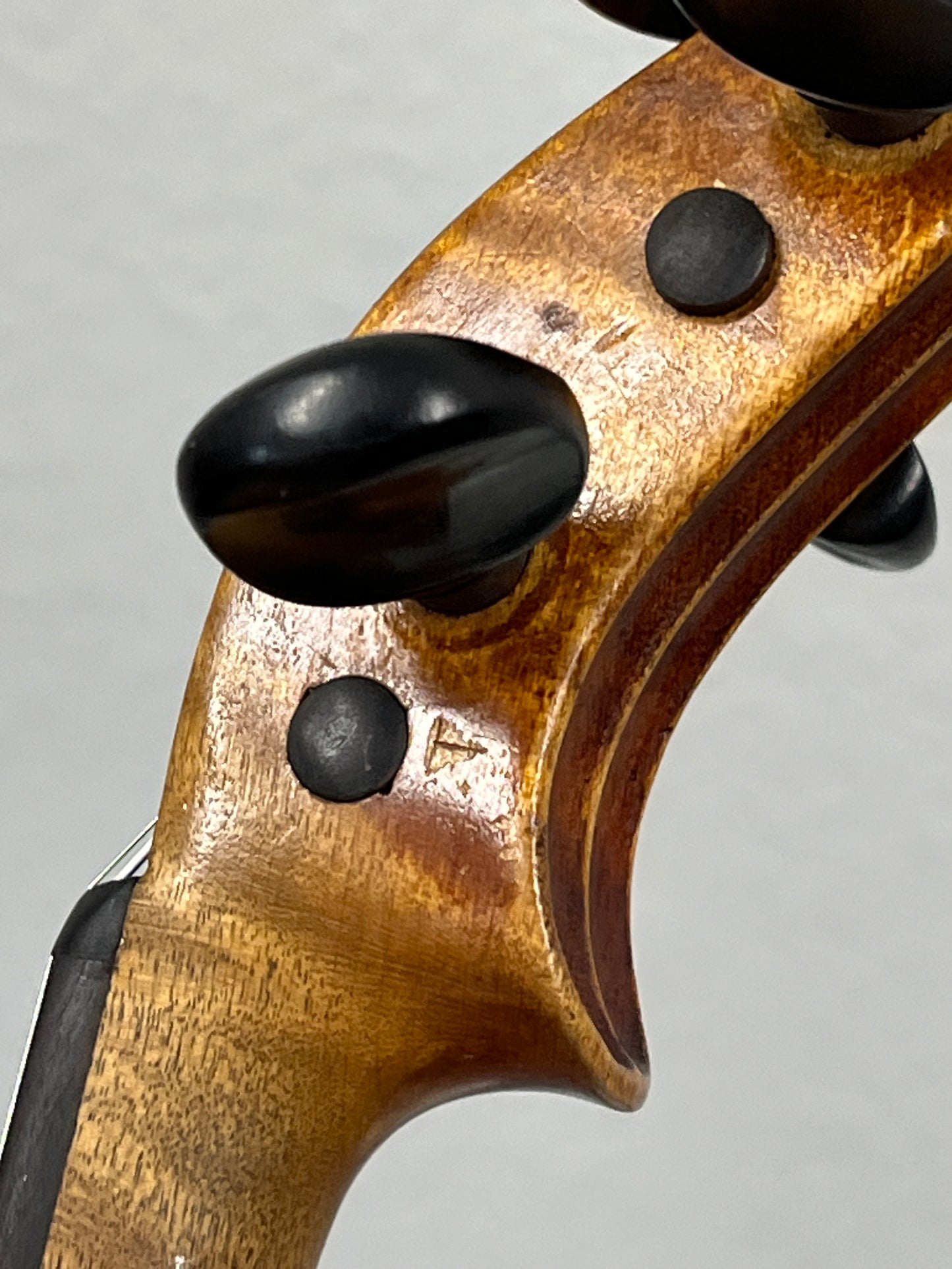 Flamed Advanced violin 'Neuner u Hornsteiner' Neuner & Hornsteiner Full size Antonius Straduarius violin / fiddle (compare to $6-$7k online)