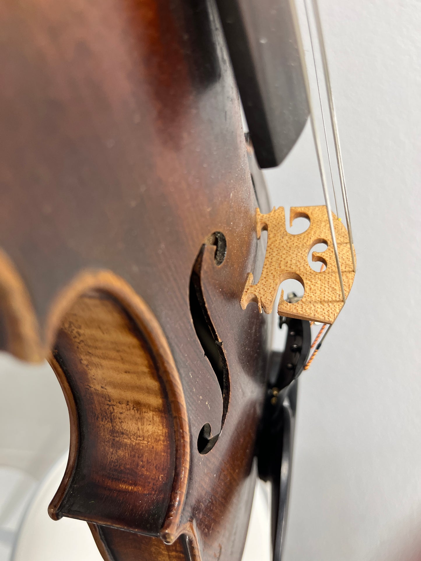 Dark flamed Anonymous Antonius Stradivarius Cremonensis Faciebat anno 1730 copy +AS c. 1900 full size 4/4