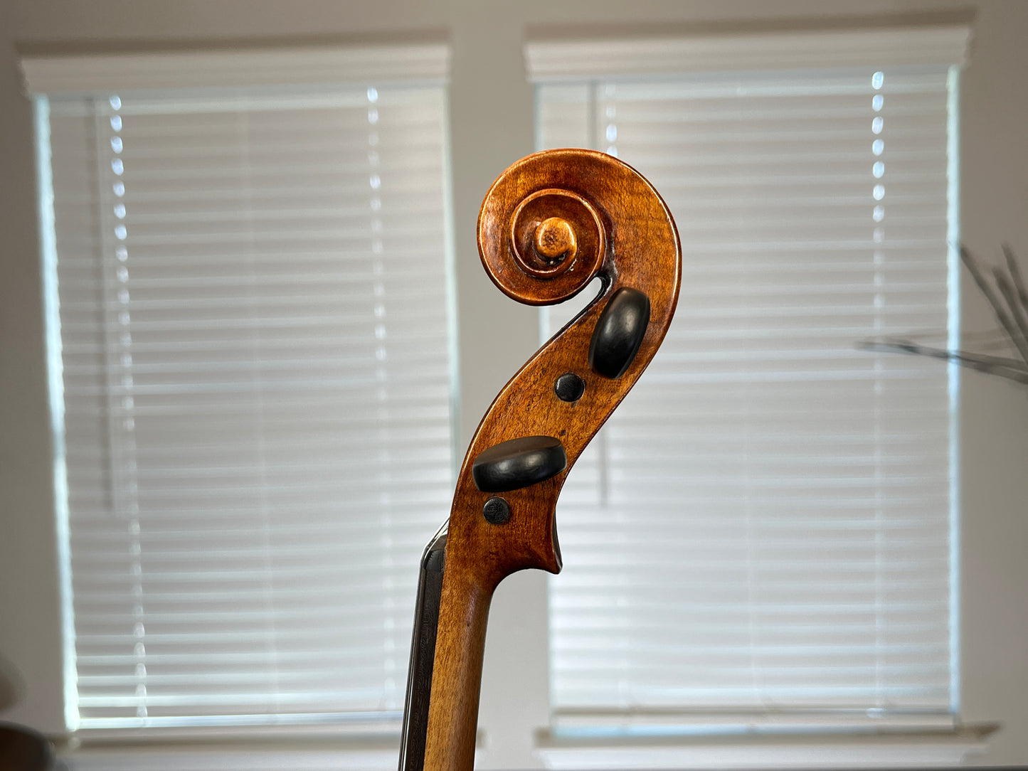 Flamed G.A. Pfretzschner Strad copy circa 1903 Full Size violin 4/4 Advanced