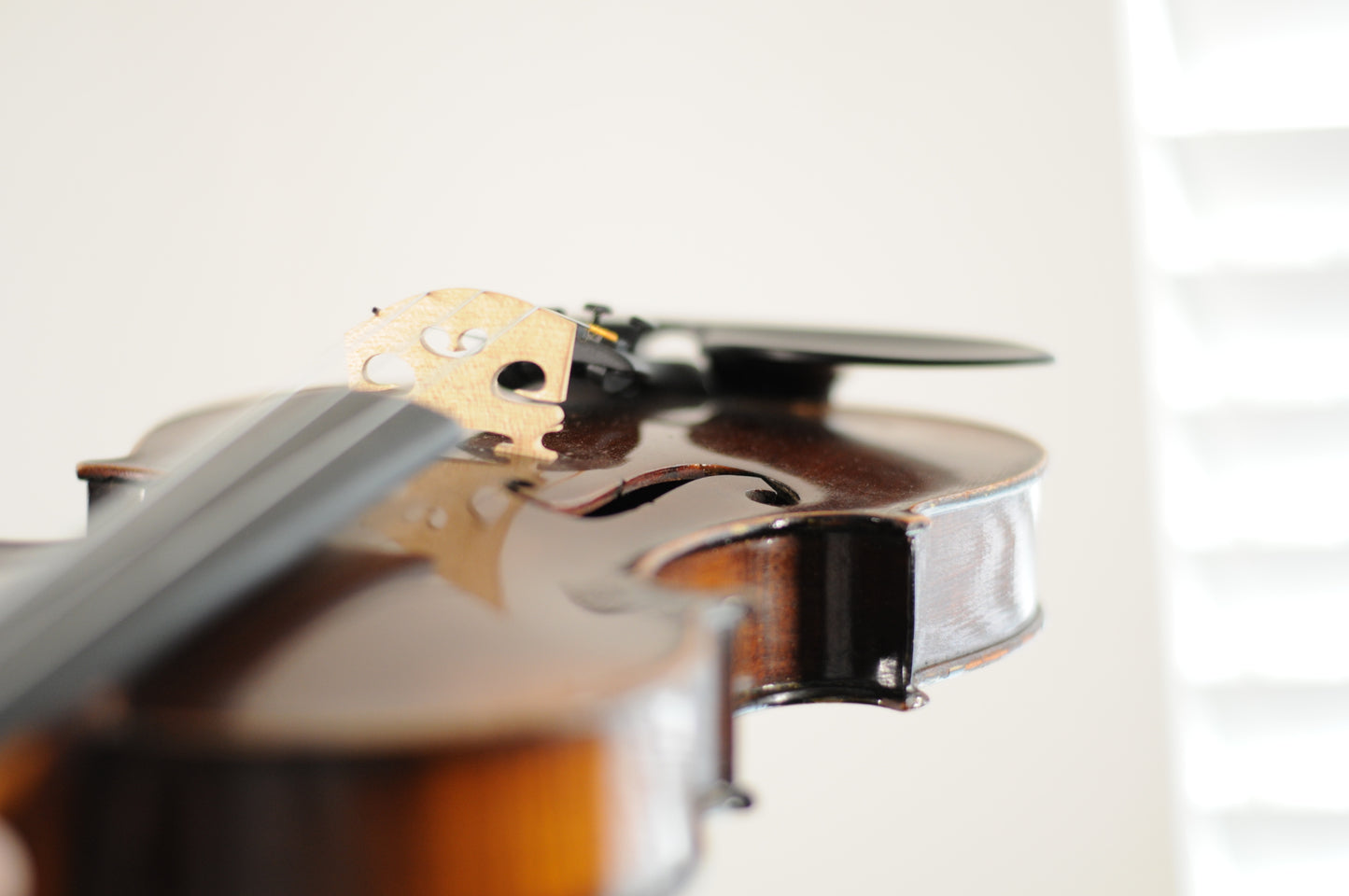 Flamed H. Denis France Stradivarius copy c. 1900-1930 France Full Size 4/4