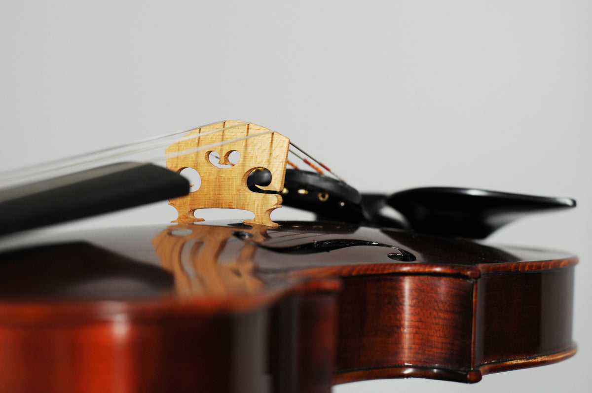Unbranded 5-string (five string) Fiddle violin - excellent overtones geared pegs 4/4
