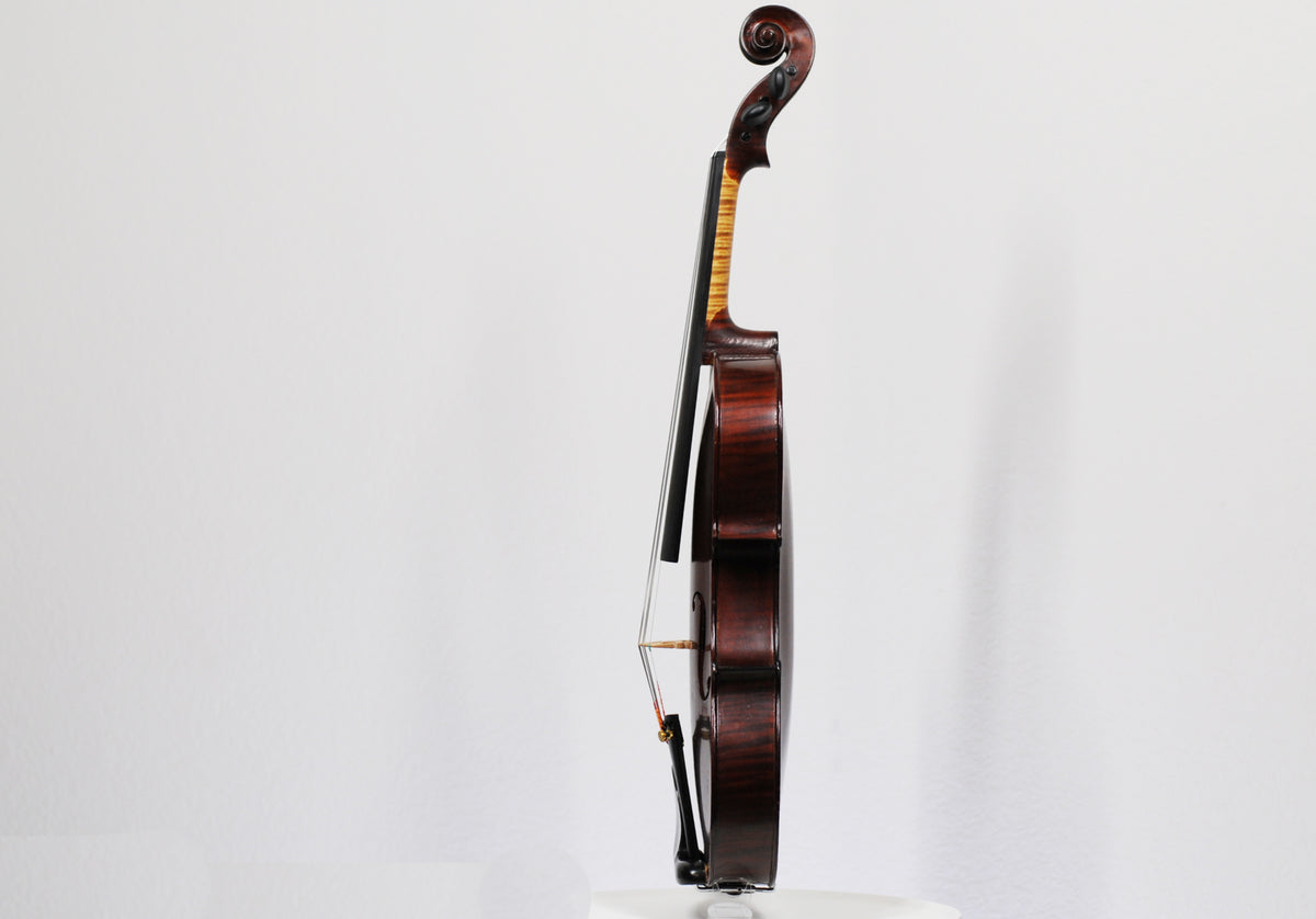 Flamed French Antoine Becker Five string Fidola fiddle!