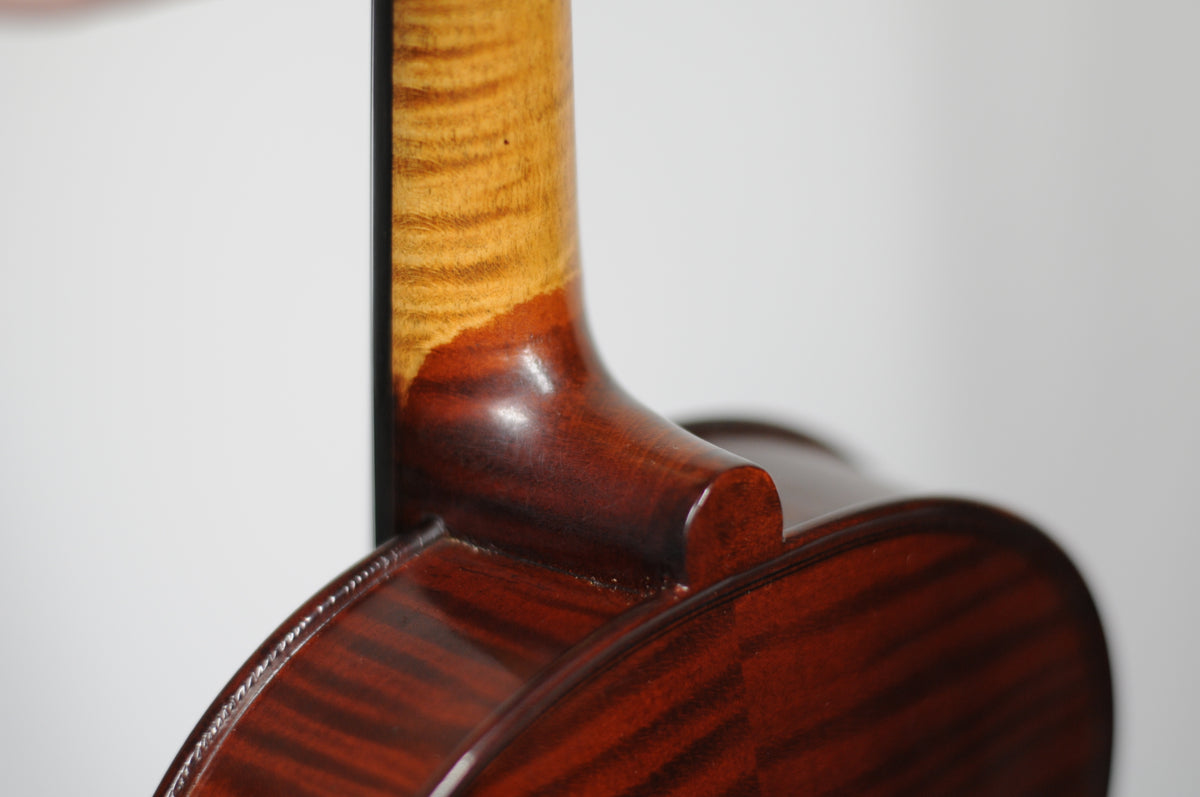 Flamed French Antoine Becker Five string Fidola fiddle!