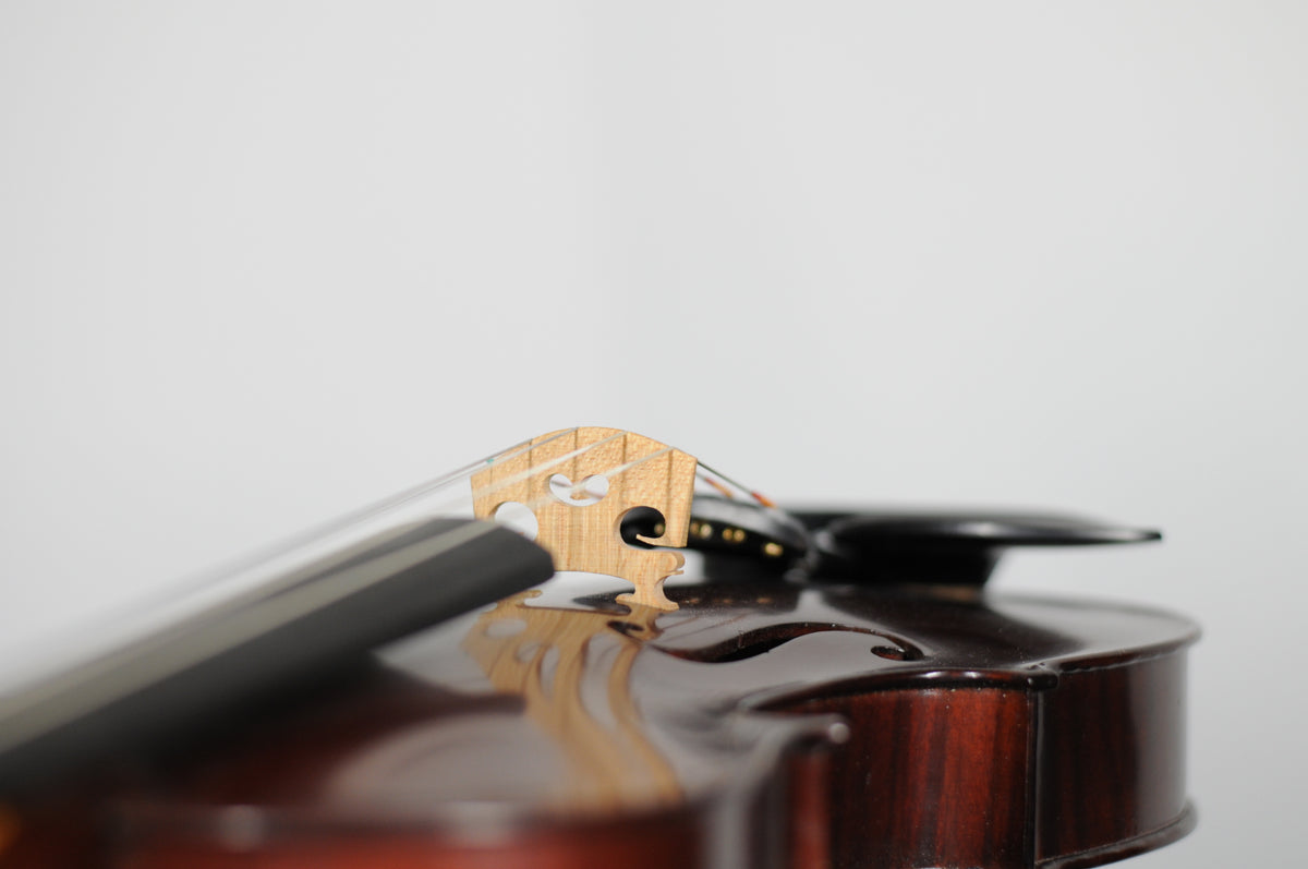 Flamed French Antoine Becker Five string Fidola fiddle!